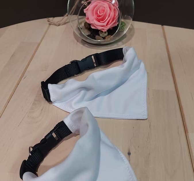 Foulard avec attache pour chien et chat